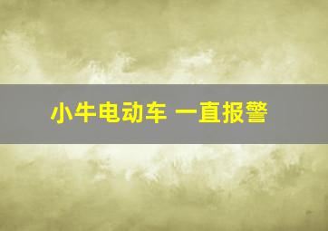 小牛电动车 一直报警